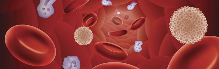 Análisis⁣ de factores que impulsan el crecimiento de⁣ la producción