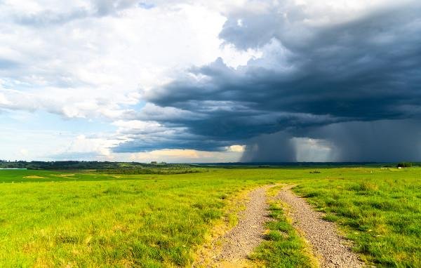 Características climáticas⁣ y​ edáficas⁣ que favorecen su biodiversidad